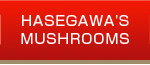 What the Hasegawa mushroom farm cares about
