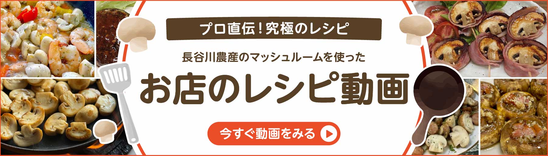 長谷川農産 公式YouTubeチャンネル